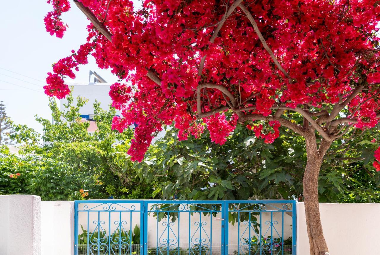 Ayeri Hotel Páros Dış mekan fotoğraf